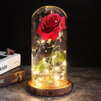 The eternal rose - a gift that always shines